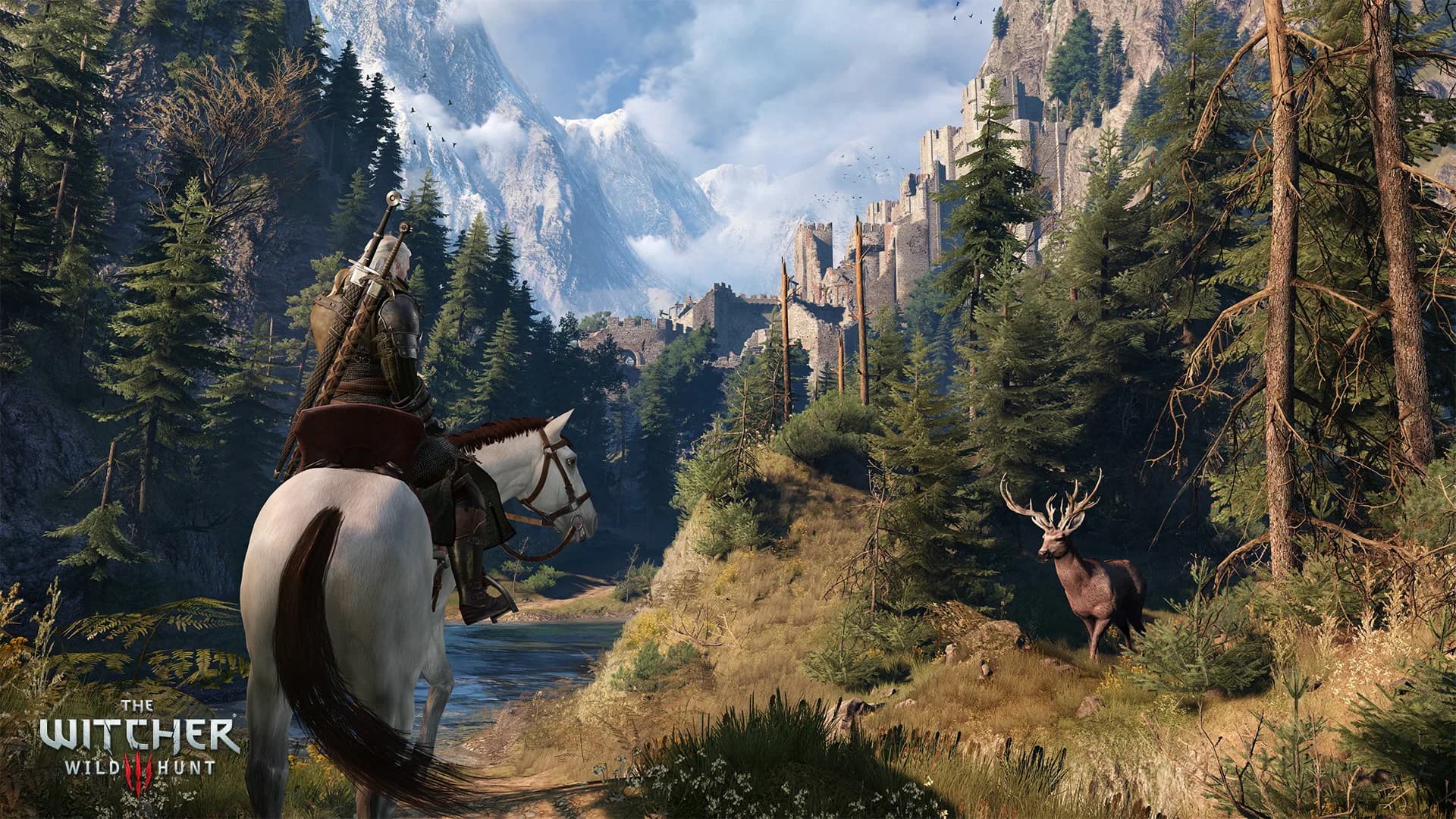 The Witcher 3 : Wild Hunt