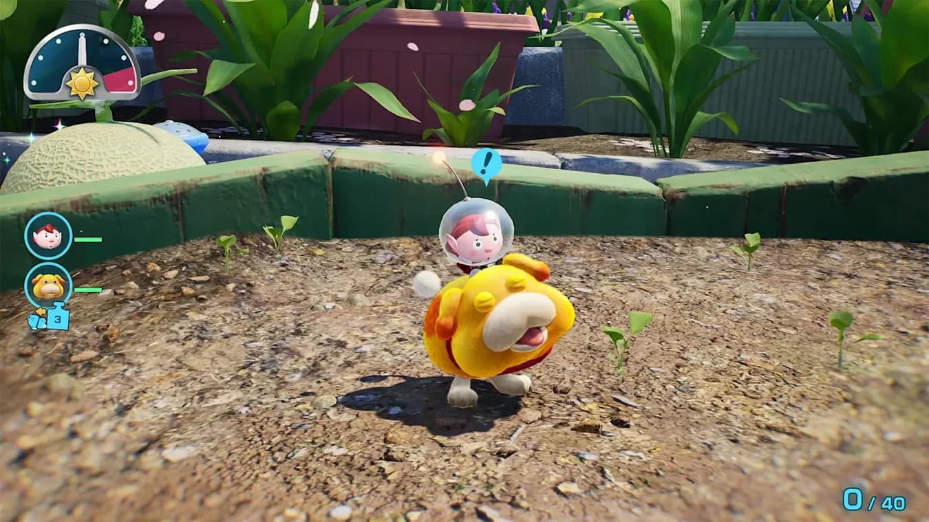 Pikmin 4 Switch 2 Edition + Académie de Dandori