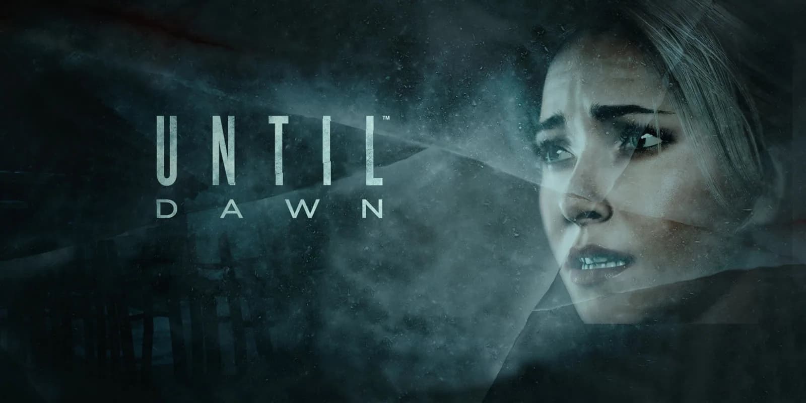 Until Dawn