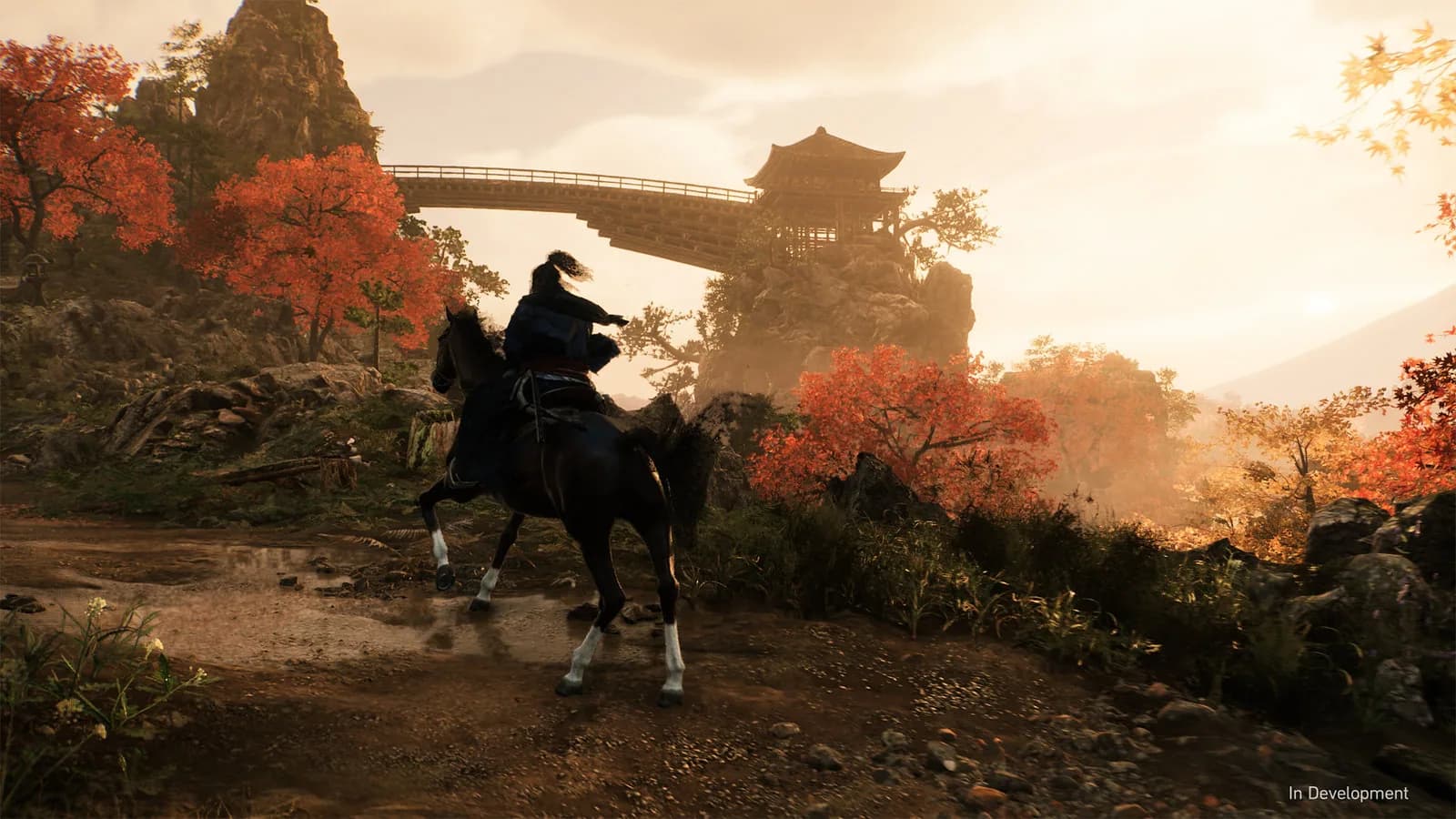Rise of the Rōnin
