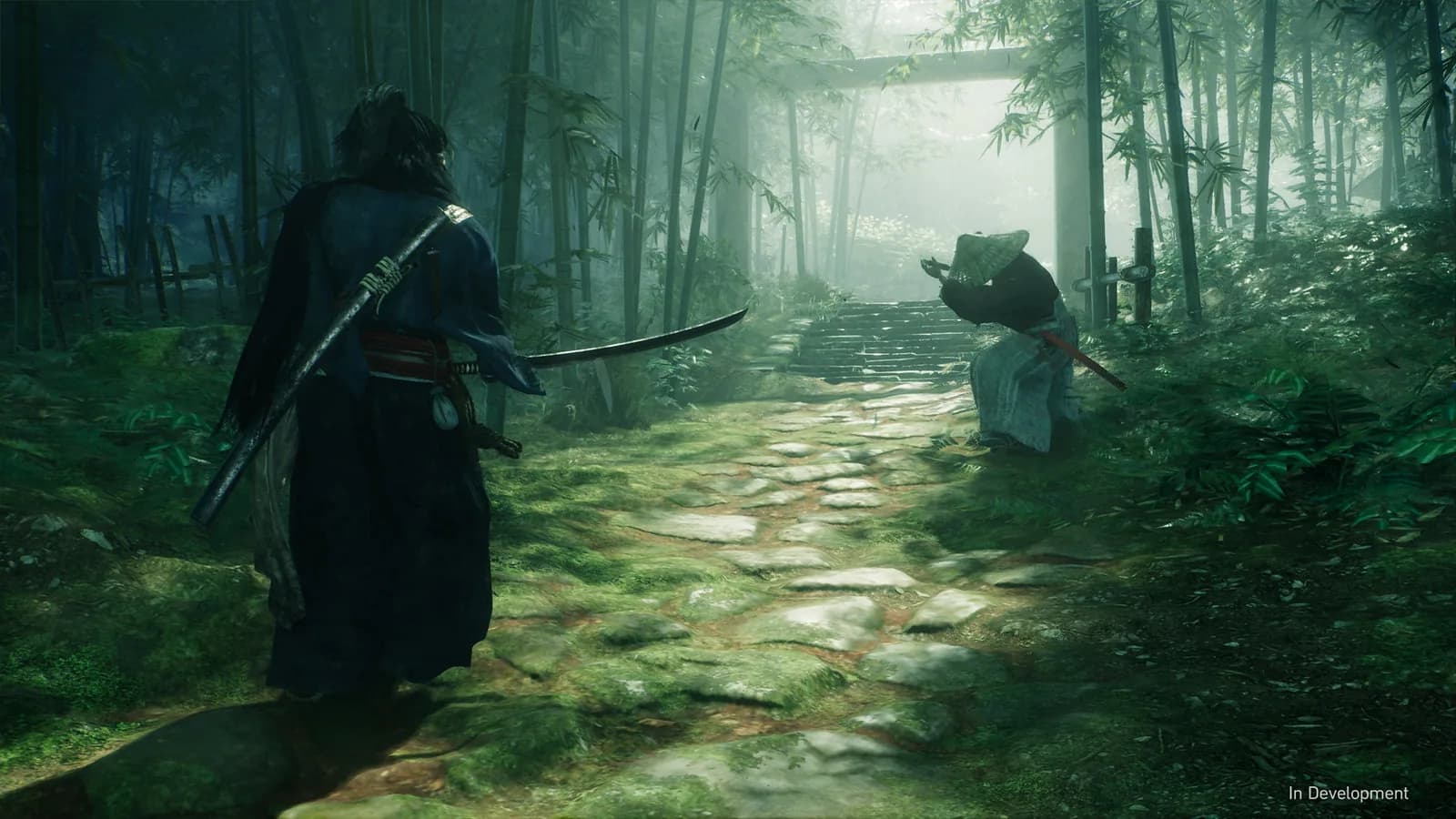 Rise of the Rōnin