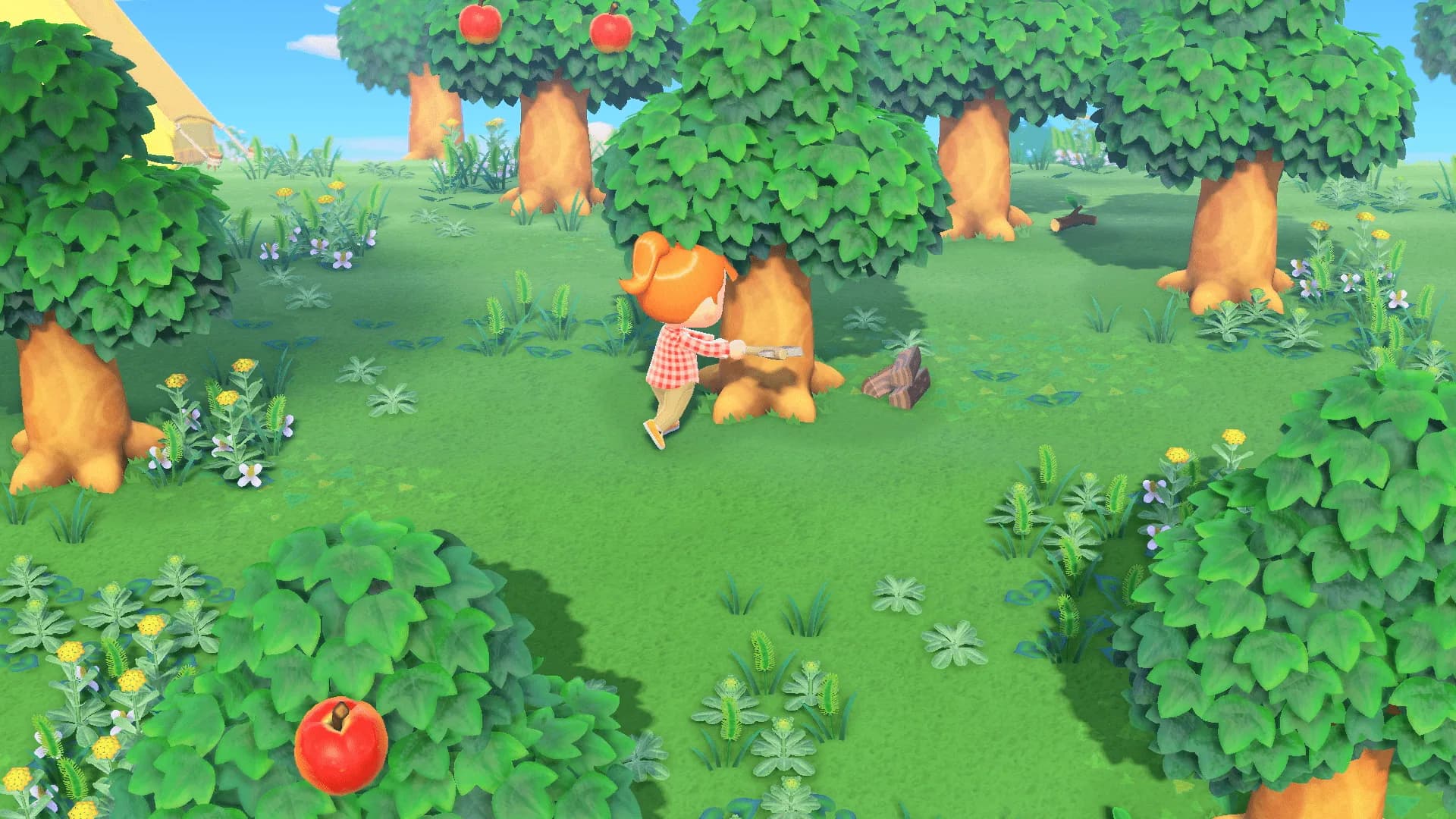 Animal Crossing : New Horizons