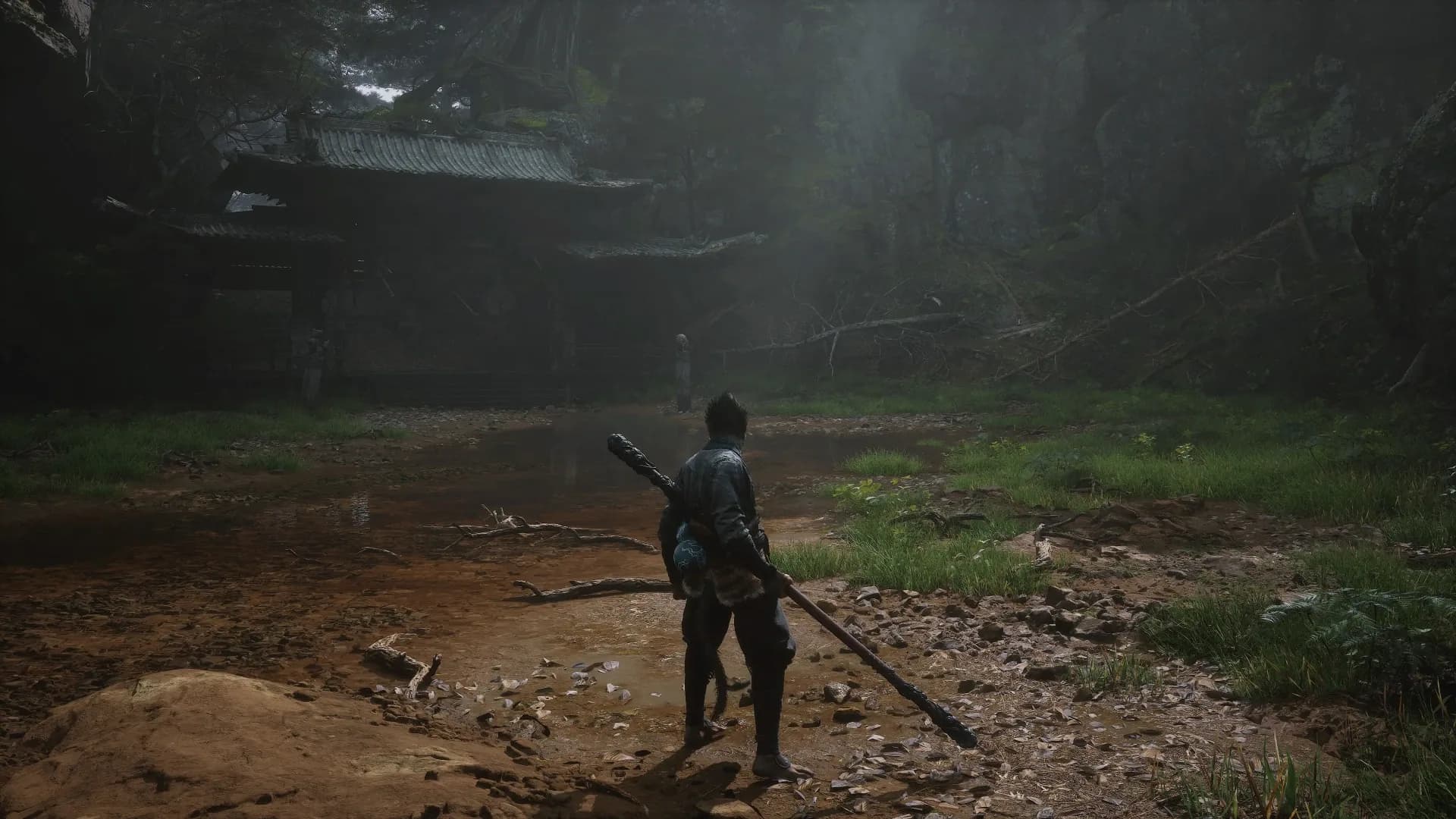 Black Myth : Wukong