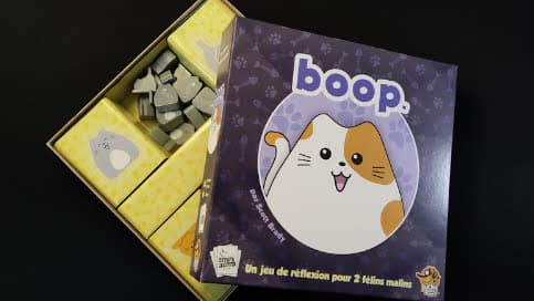 Le test de Boop Le duel félin aussi mignon que stratégique