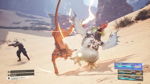 Final Fantasy VII Rebirth : Close-up sur Red XIII