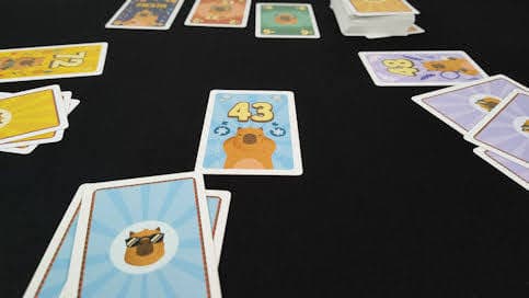 Le test de Capybaraka